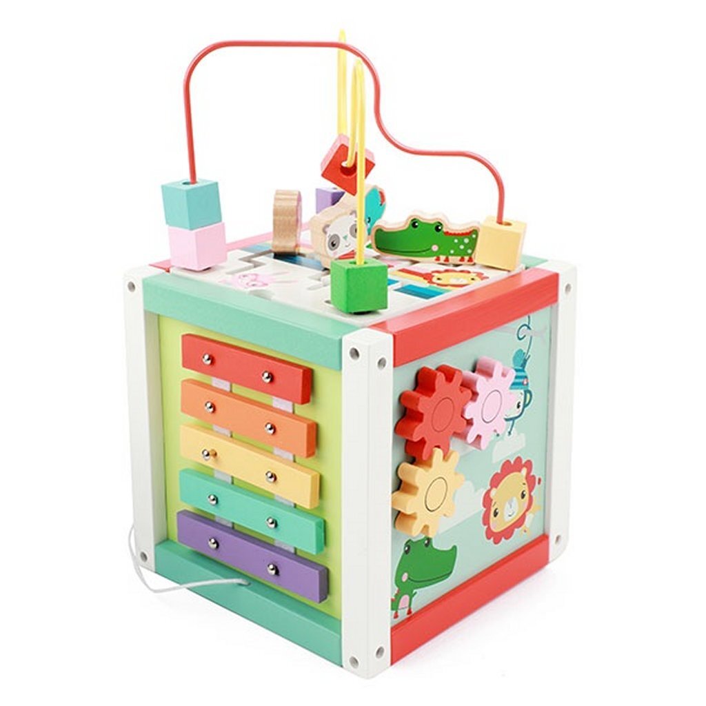 Fisher Price Activiteiten Kubus Hout