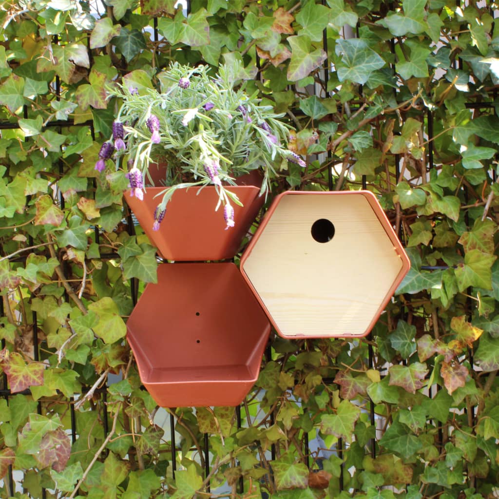 Capi vogelhuisje hive 1 rond gat 19x23x20 cm bruin