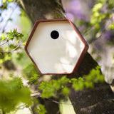 Capi capi vogelhuisje hive 1 rond gat 19x23x20 cm bruin