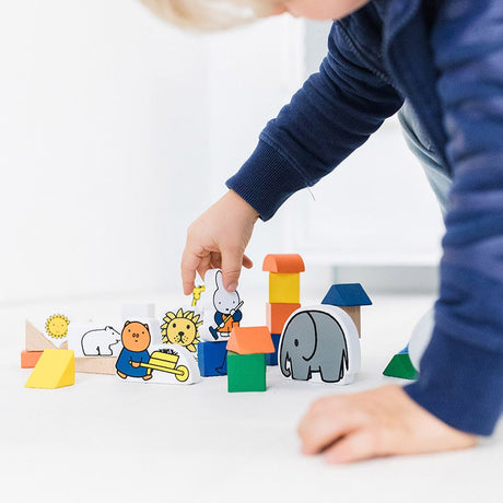 Nijntje houten blokken dierentuin 2+
