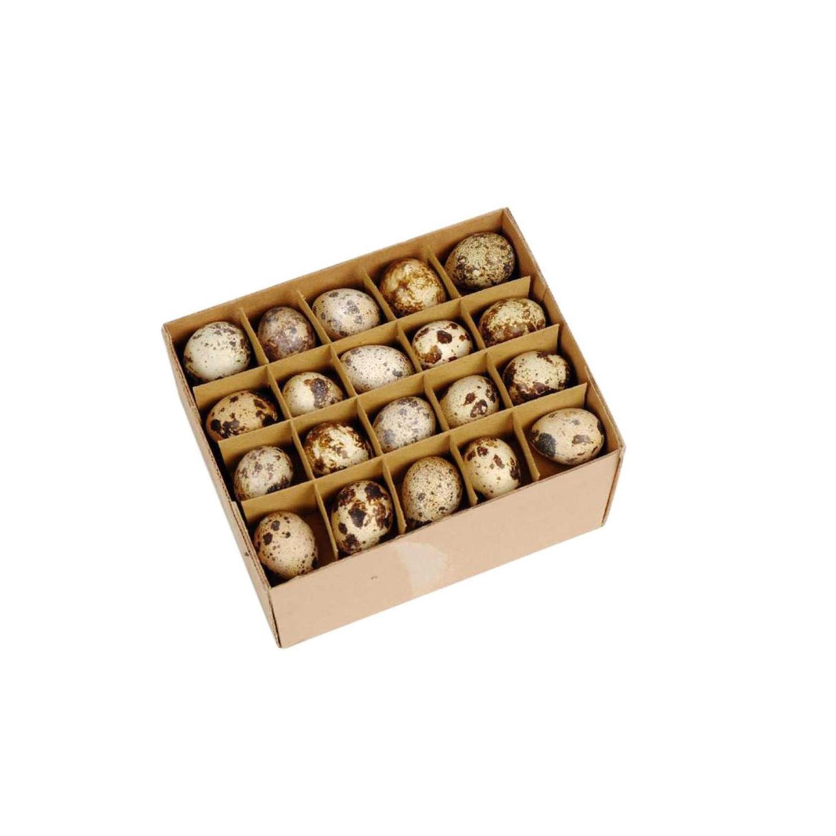 Hbx natural living kwartel eieren doos a 60 stuks