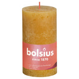 Bolsius Bolsius Stompkaarsen Shine 4 st rustiek 130x68 mm honinggeel