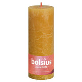 Bolsius Bolsius Stompkaarsen Shine 4 st rustiek 190x68 mm honinggeel