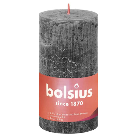 Bolsius Bolsius Stompkaarsen Shine 4 st rustiek 130x68 mm stormgrijs