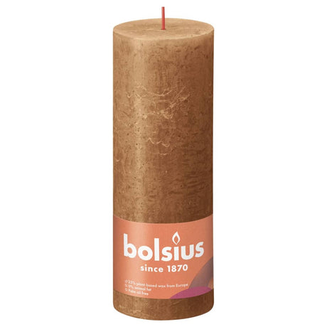 Bolsius Bolsius Stompkaarsen Shine 4 st rustiek 190x68 mm spice brown