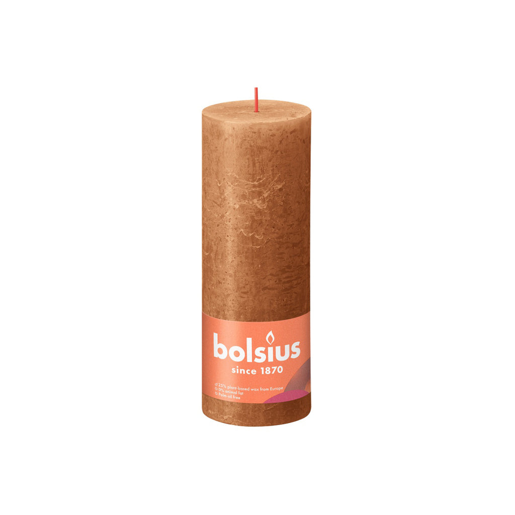 Bolsius kaars 19x6,8 cm spicy bruin