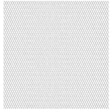 Vidaxl draadhek 50x50 cm 30x17x2,5 mm roestvrij staal