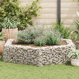 Vidaxl gabion plantenbak verhoogd zeshoekig 200x173x40 cm