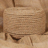 Vidaxl touw 100% jute 10 mm 100 m