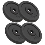 Vidaxl halterschijven 4 st 4x5 kg gietijzer