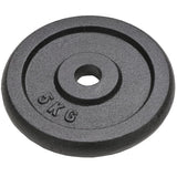 Vidaxl halterschijven 4 st 4x5 kg gietijzer
