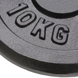 Vidaxl halterschijven 2 st 2x10 kg gietijzer