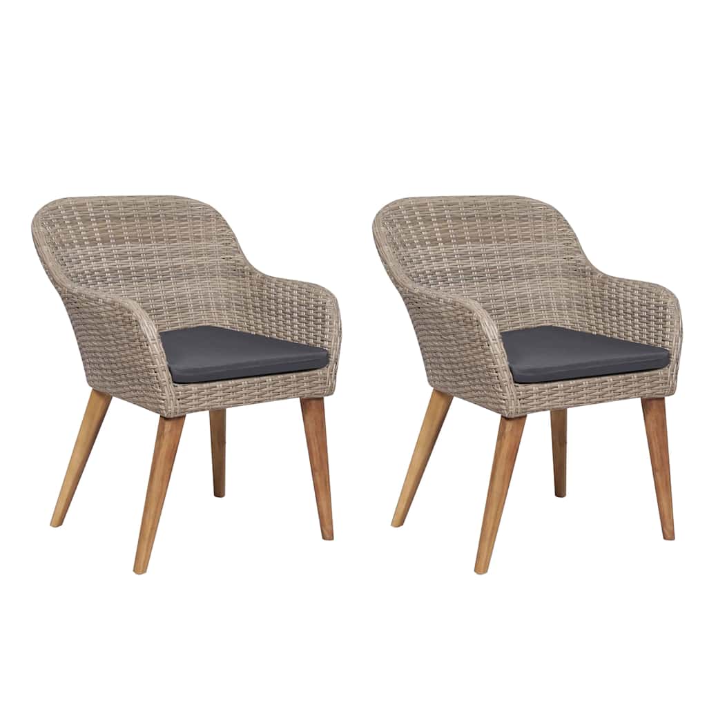 Vidaxl tuinstoelen 2 st met kussens poly rattan bruin
