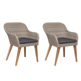 Vidaxl tuinstoelen 2 st met kussens poly rattan bruin