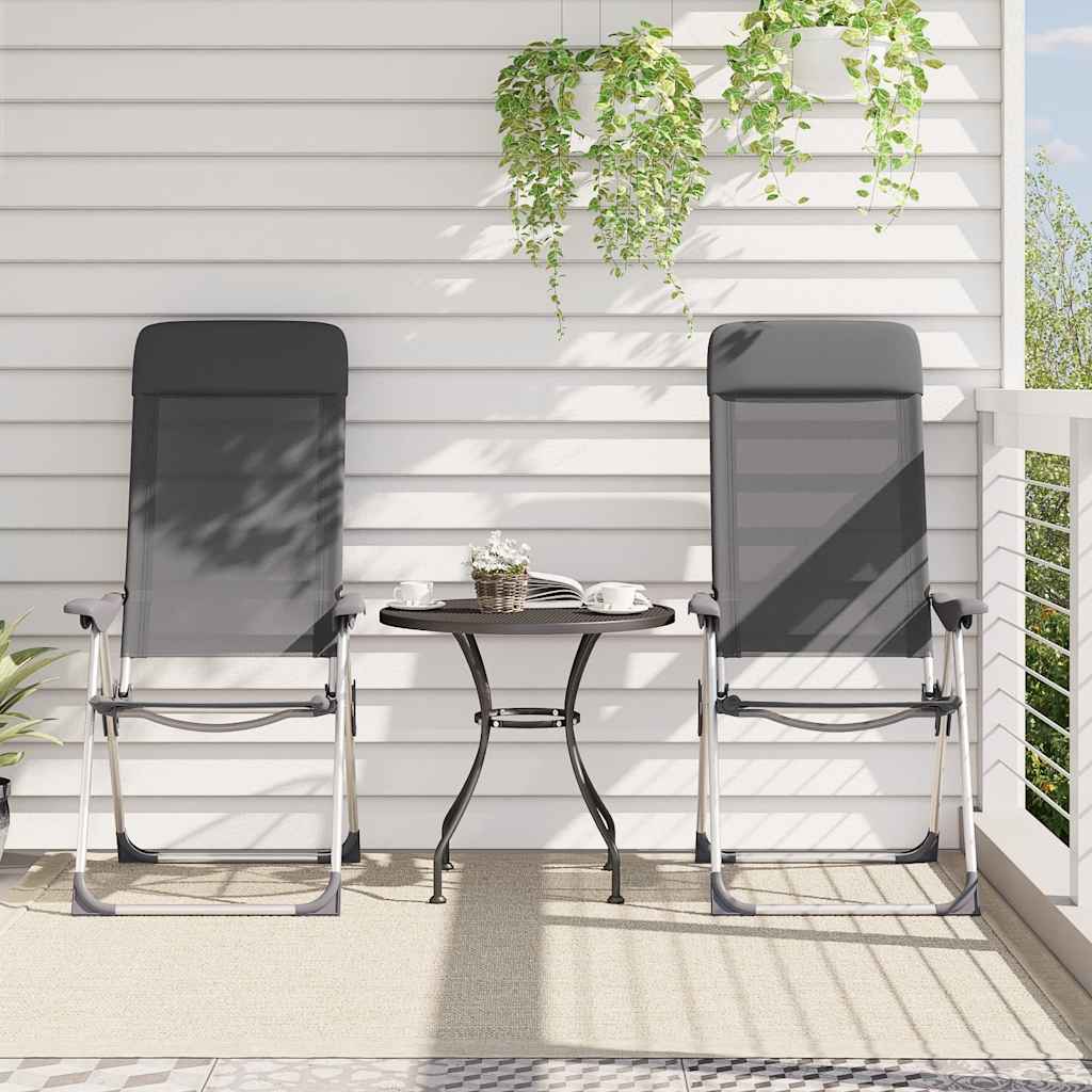 Vidaxl campingstoelen 2 st inklapbaar aluminium grijs
