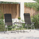 Vidaxl campingstoelen inklapbaar aluminium zwart 2 st