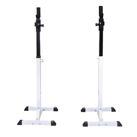 Vidaxl halter- en gewichtenstandaard