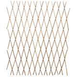 Vidaxl tuinlatwerk 5 st 180x90 cm wilg