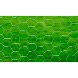 Vidaxl kippengaas 25x1 m gegalvaniseerd staal zilverkleurig