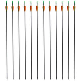 Vidaxl recurveboog standaard met pijlen 30 0,6 cm glasvezel 12 stuks