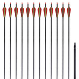 Vidaxl pijlen voor recurveboog standaard 30 0,76 cm koolstof 12 stuks