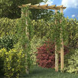 VidaXL Rozenboog 150x60x204 cm geïmpregneerd hout