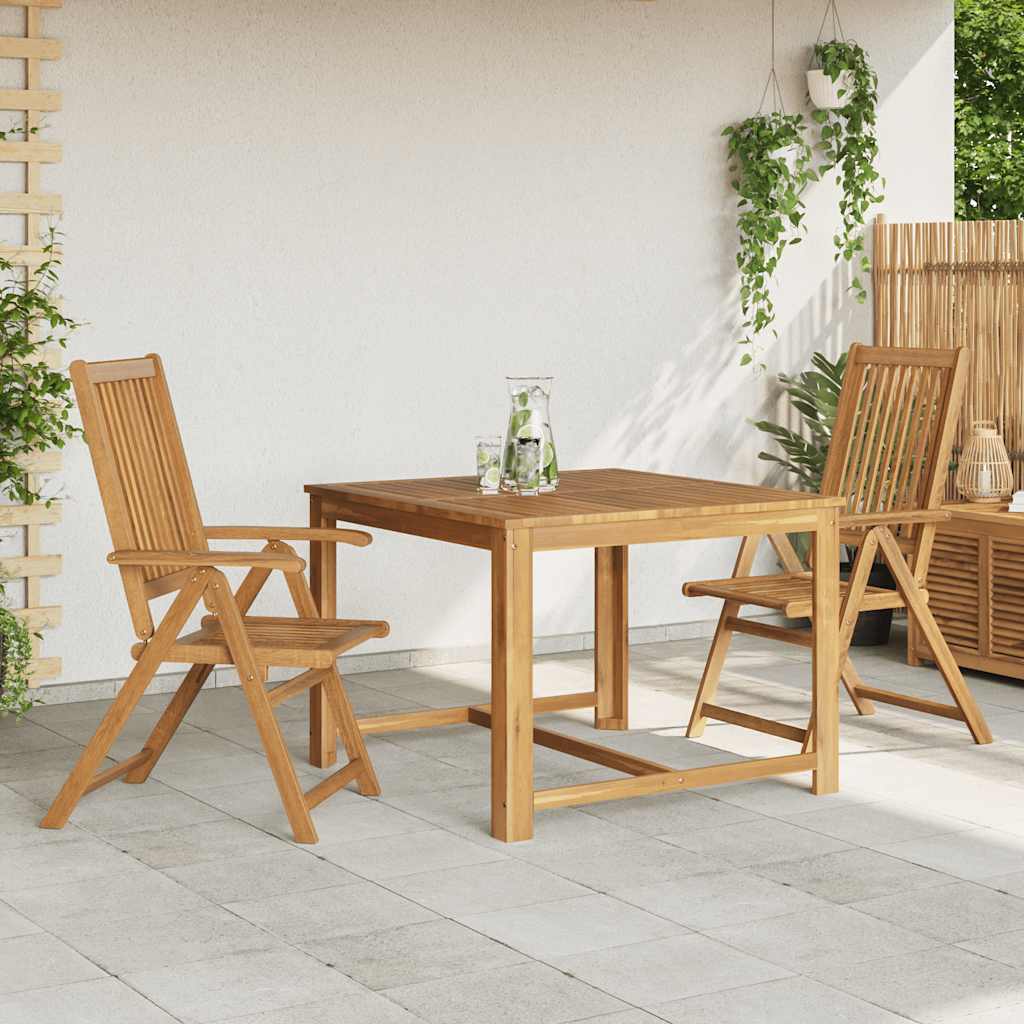 Vidaxl tuinstoelen inklapbaar 2 st massief acaciahout bruin