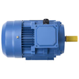 VidaXL Elektromotor 3 fase 2,2 kW 3 pk 2-polig 2840 rpm aluminium