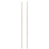 Vidaxl zonneschermpalen 2 st 250 cm gegalvaniseerd staal