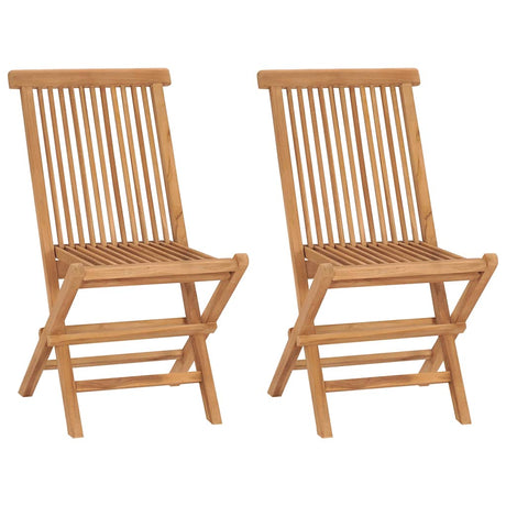 Vidaxl tuinstoelen 2 st inklapbaar massief teakhout