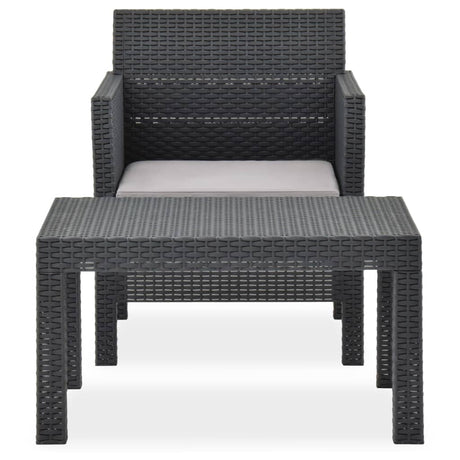 Vidaxl 2-delige loungeset met kussen pp rattan antracietkleurig