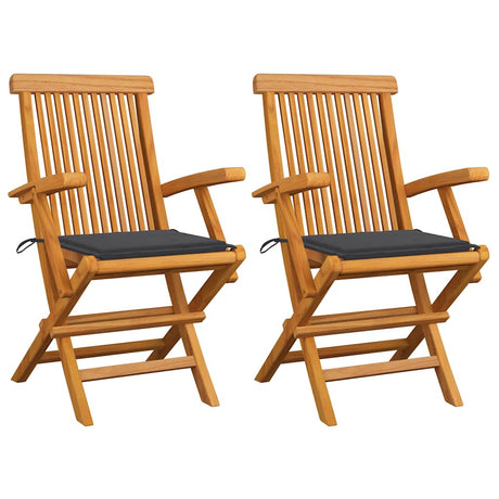 Vidaxl inklapbare stoelen 2 st met antracietkleurige kussens