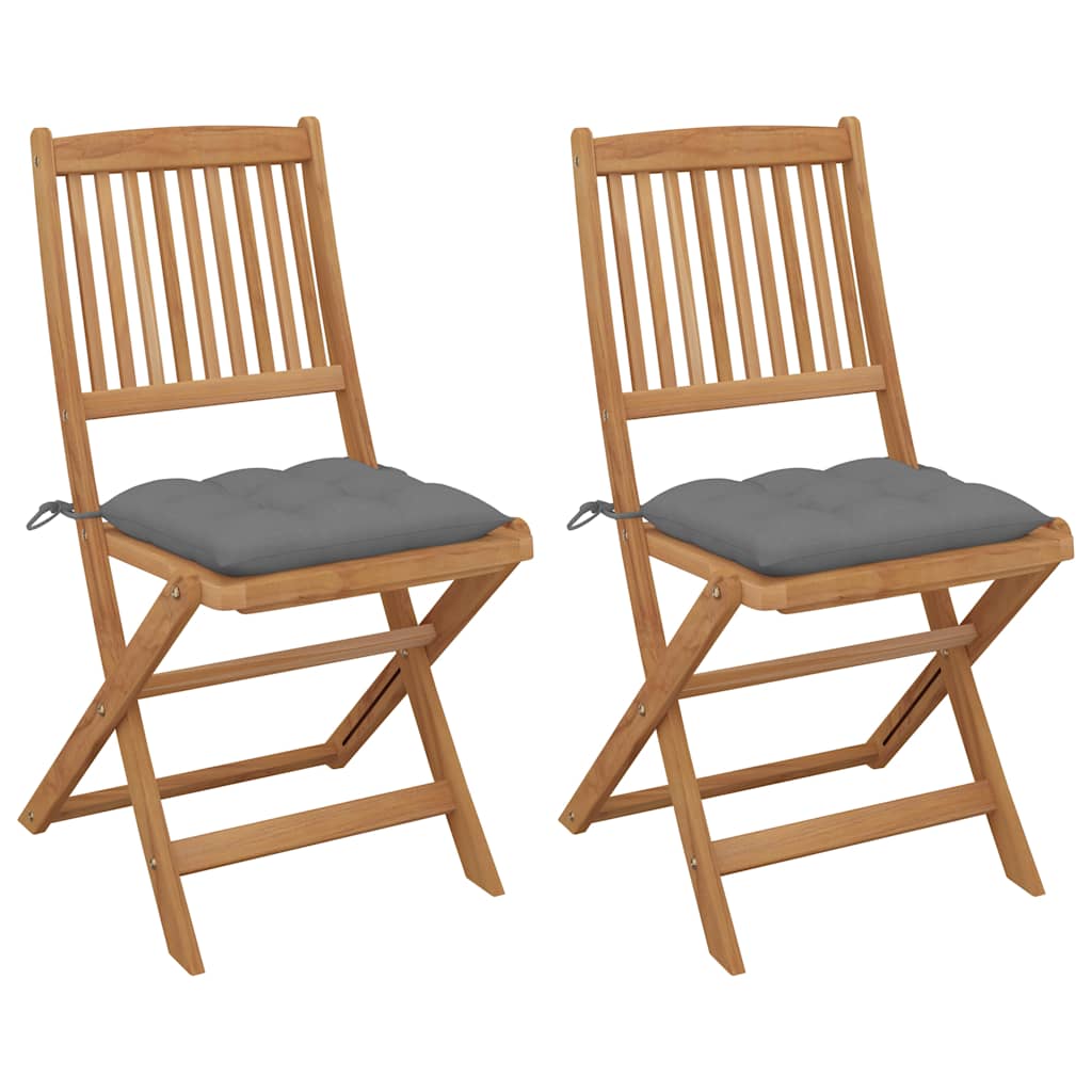 Vidaxl tuinstoelen 2 st inklapbaar met kussens massief acaciahout