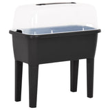 Vidaxl plantenbak verhoogd 77x38,7x82 cm pp