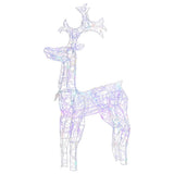 Vidaxl kerstversiering rendier 90 led's 60x16x100 cm acryl