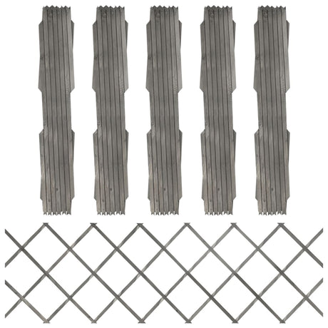 Vidaxl tuinlatwerken 5 st 180x60 cm massief vurenhout grijs