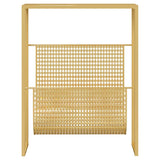 Vidaxl tijdschriftenrek 35x15x45 cm staal goudkleurig