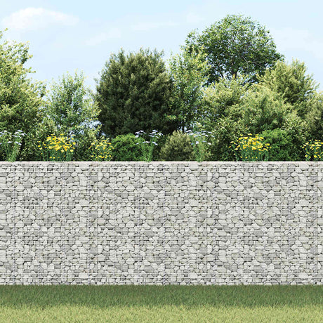 Vidaxl schanskorf plantenbakken 3 st verhoogd 30x30x150 cm ijzer