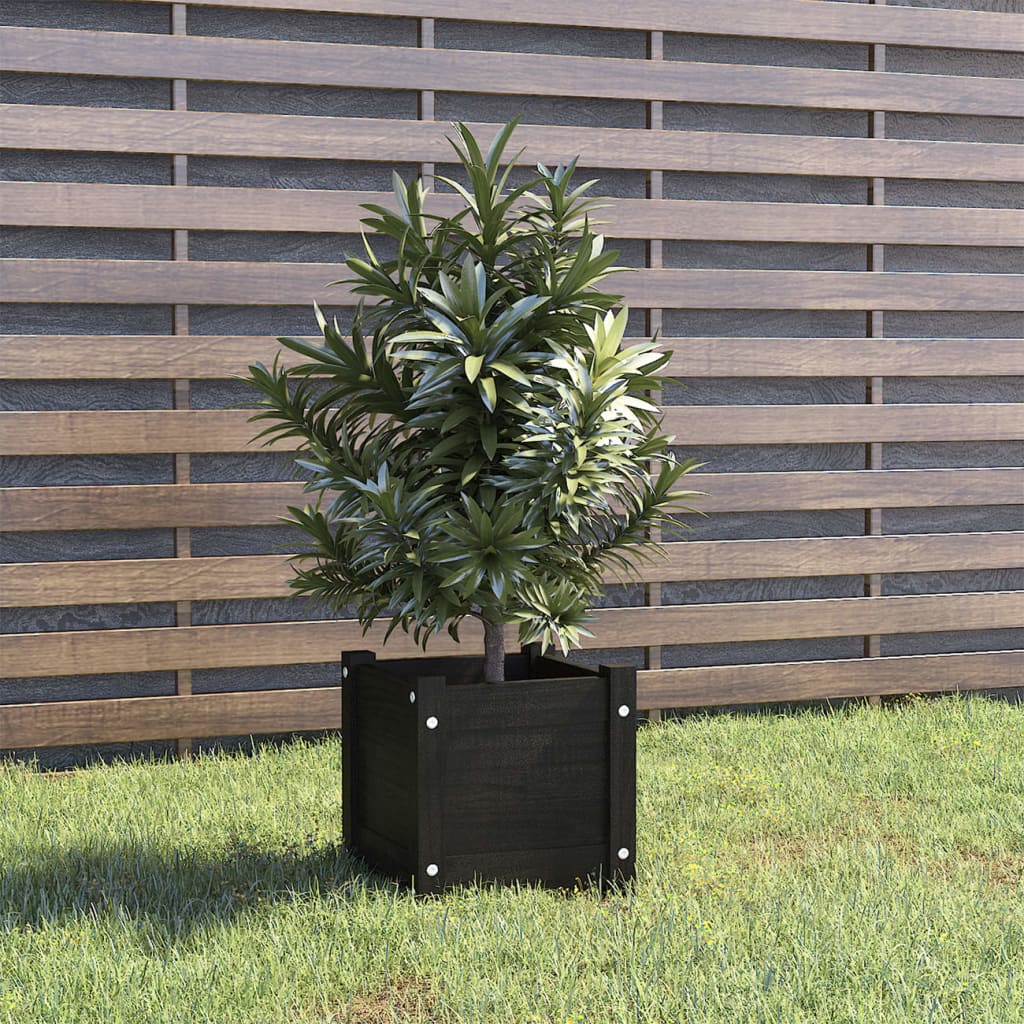 Vidaxl plantenbak 31x31x31 cm massief grenenhout zwart