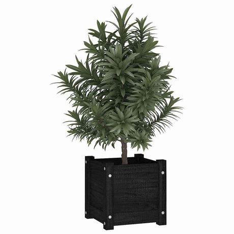 Vidaxl plantenbakken 2 st 31x31x31 cm massief grenenhout zwart