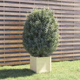 VidaXL Plantenbak 40x40x40 cm massief grenenhout wit