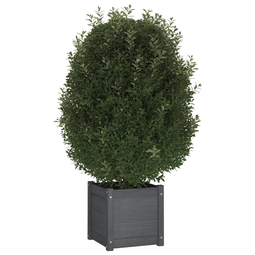 Vidaxl plantenbak 40x40x40 cm massief grenenhout grijs