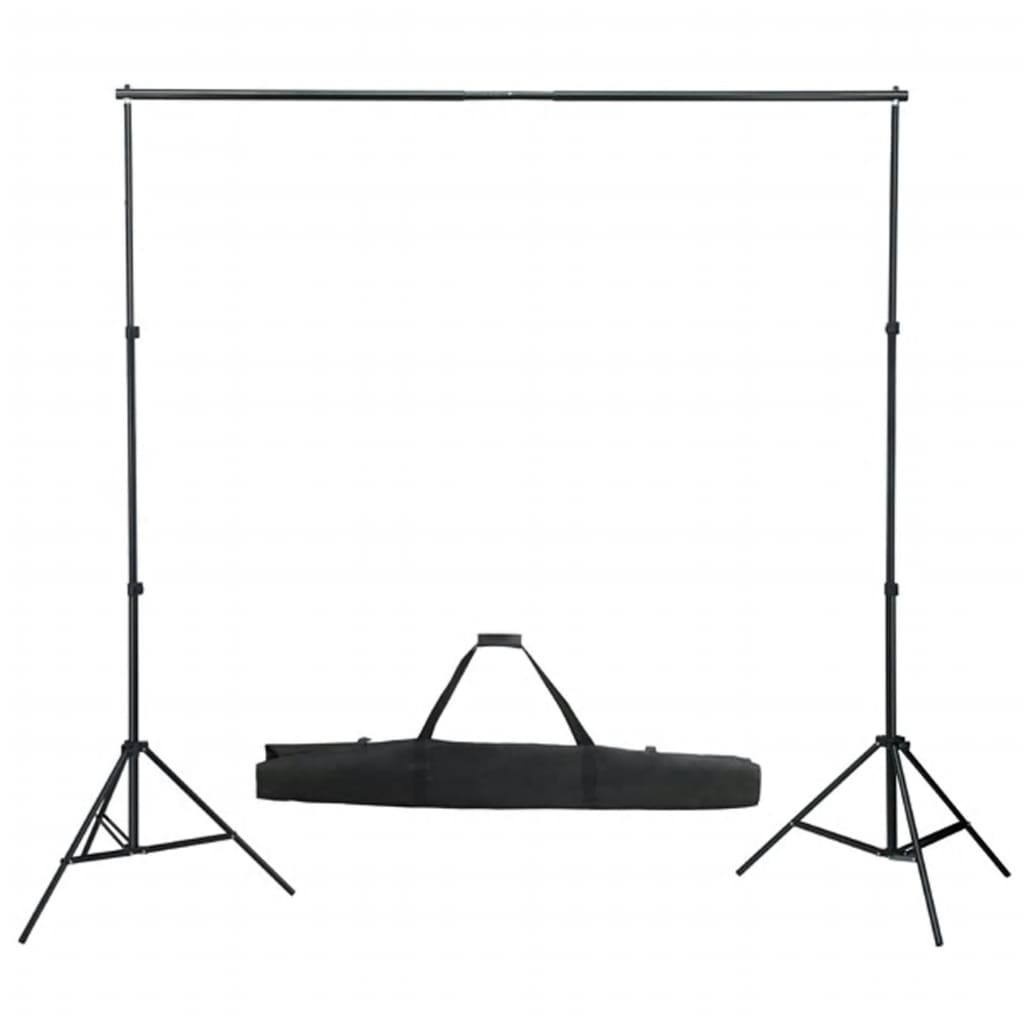 VidaXL Fotostudioset met verlichtingsset en achtergrond