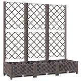 Vidaxl plantenbak met trellis bruin 120x40x121,5 cm pp