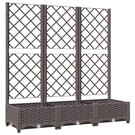 Vidaxl plantenbak met trellis bruin 120x40x121,5 cm pp