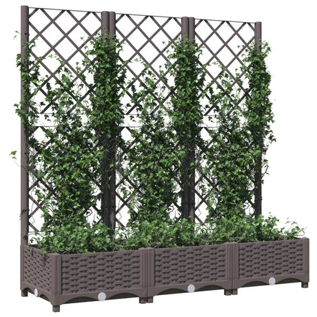 Vidaxl plantenbak met trellis bruin 120x40x121,5 cm pp