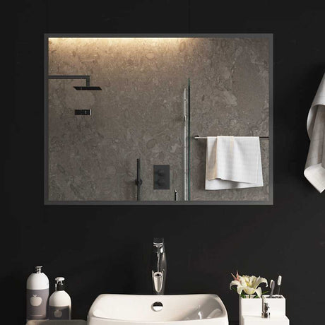 Vidaxl badkamerspiegel led 80x60 cm