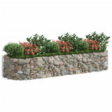 Vidaxl gabion plantenbak verhoogd 300x100x50 cm gegalvaniseerd ijzer