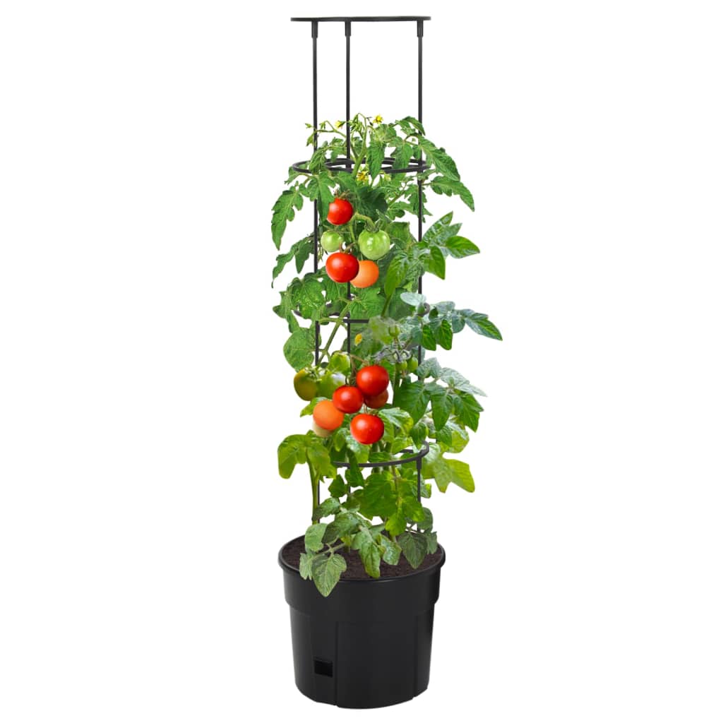 Vidaxl tomatenkweekpot ø29,5x115 cm polypropeen antracietkleurig