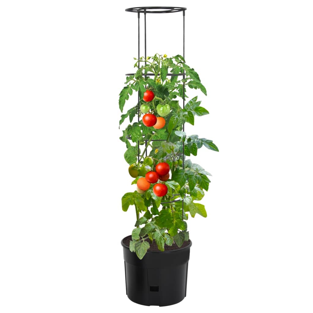 Vidaxl tomatenkweekpot ø39x150 cm polypropeen antracietkleurig